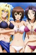 (DUB) SEKIREI UC + OVA